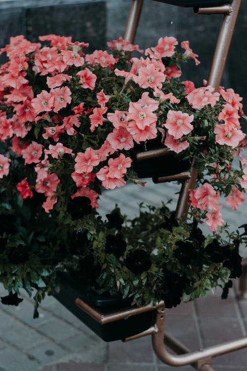 Planting